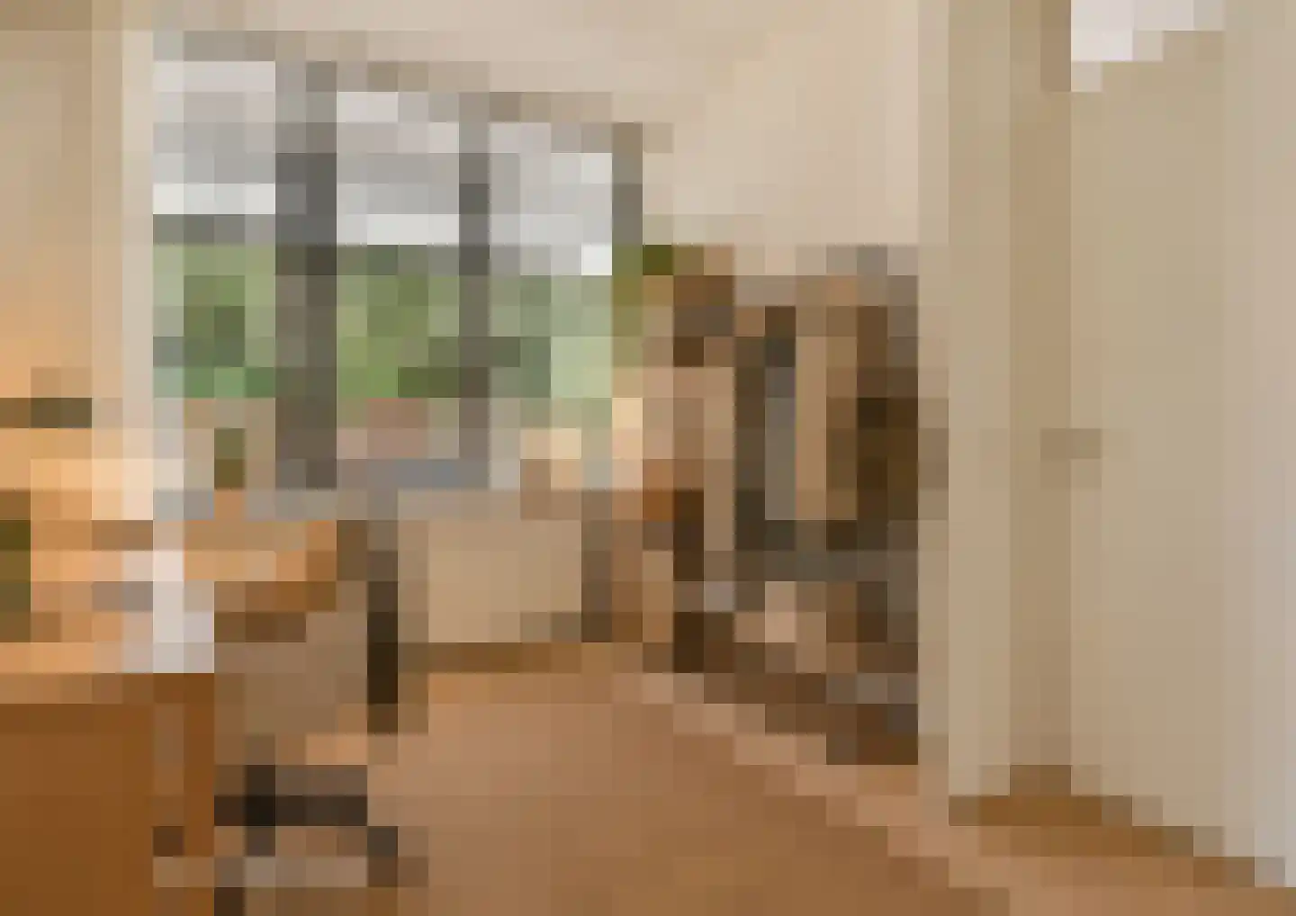Groot Hertoginnelaan 8 E Den Haag thumbnail 16