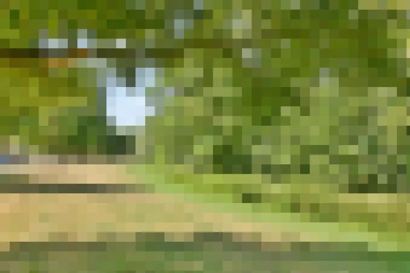 Groot Hertoginnelaan 8 E Den Haag thumbnail 17