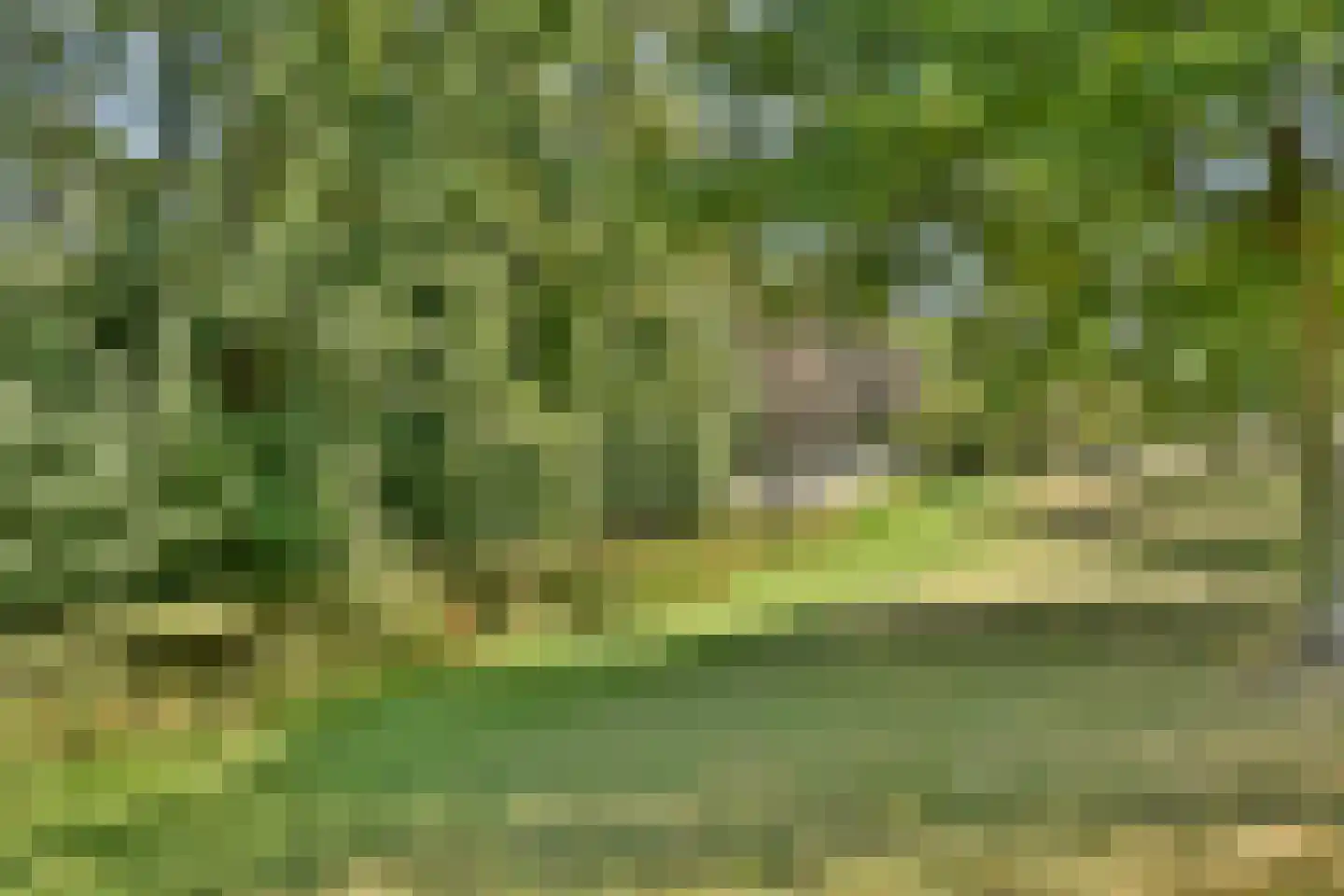 Groot Hertoginnelaan 8 E Den Haag thumbnail 18