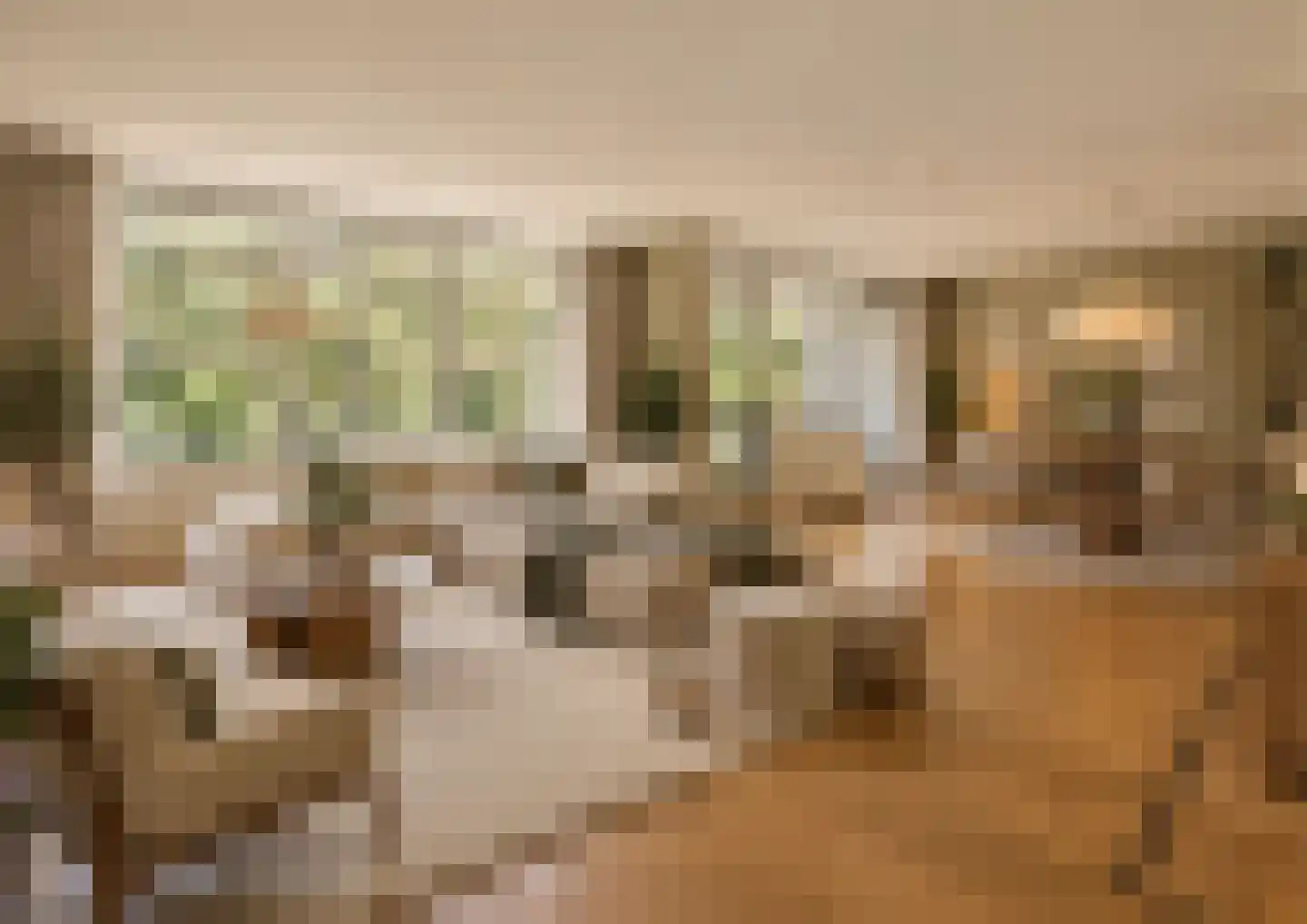 Groot Hertoginnelaan 8 E Den Haag thumbnail 6