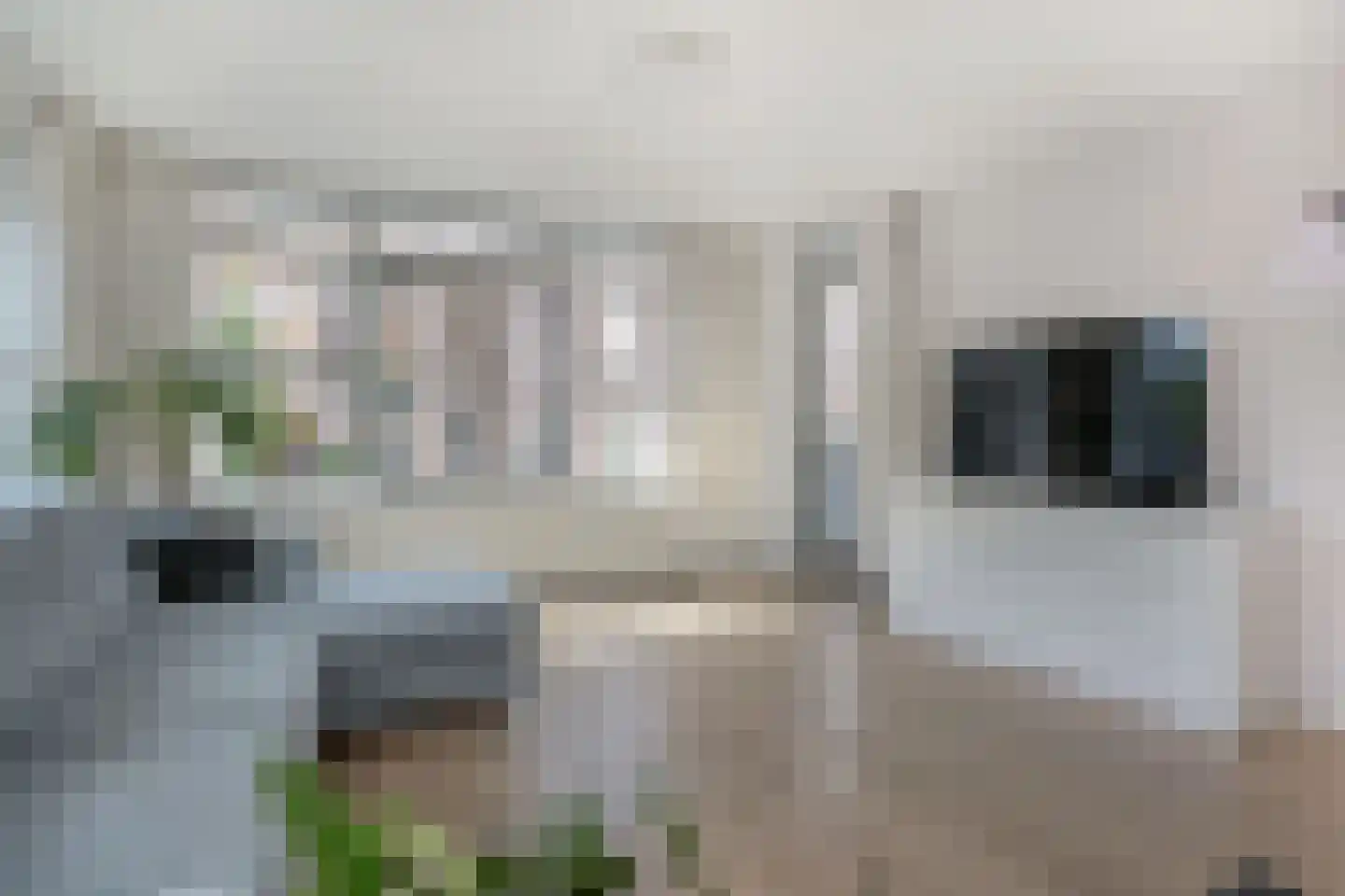 Groot Hertoginnelaan 8 R Den Haag thumbnail 12