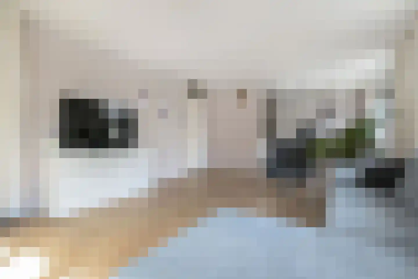 Groot Hertoginnelaan 8 R Den Haag thumbnail 13