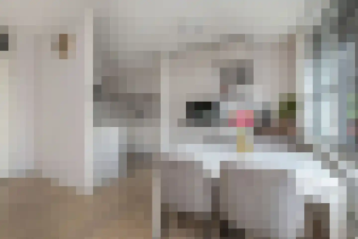 Groot Hertoginnelaan 8 R Den Haag thumbnail 16