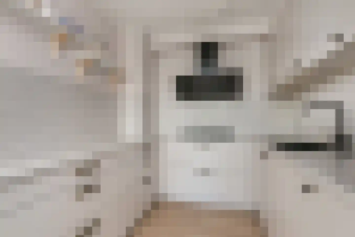 Groot Hertoginnelaan 8 R Den Haag thumbnail 17