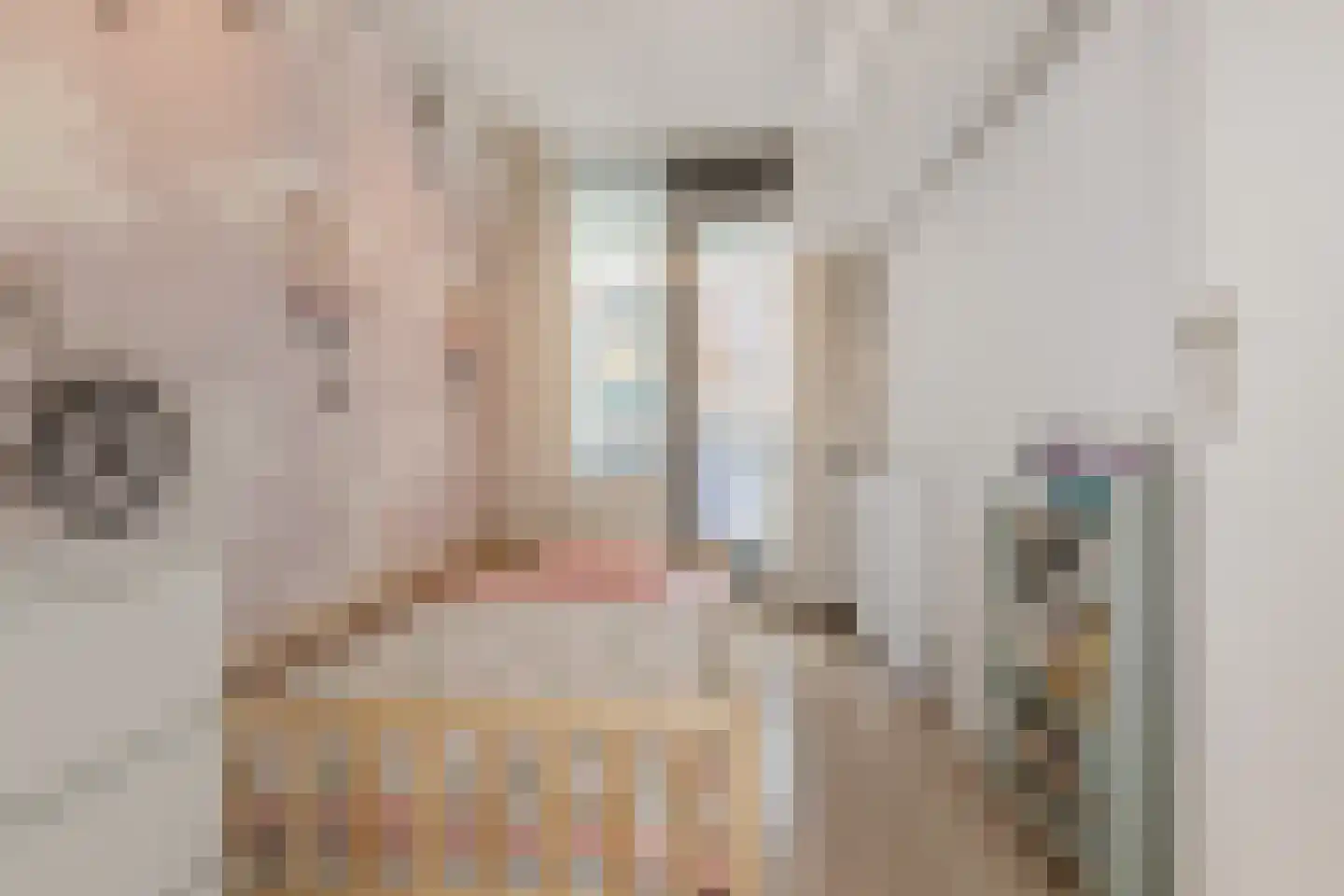 Groot Hertoginnelaan 8 R Den Haag thumbnail 21