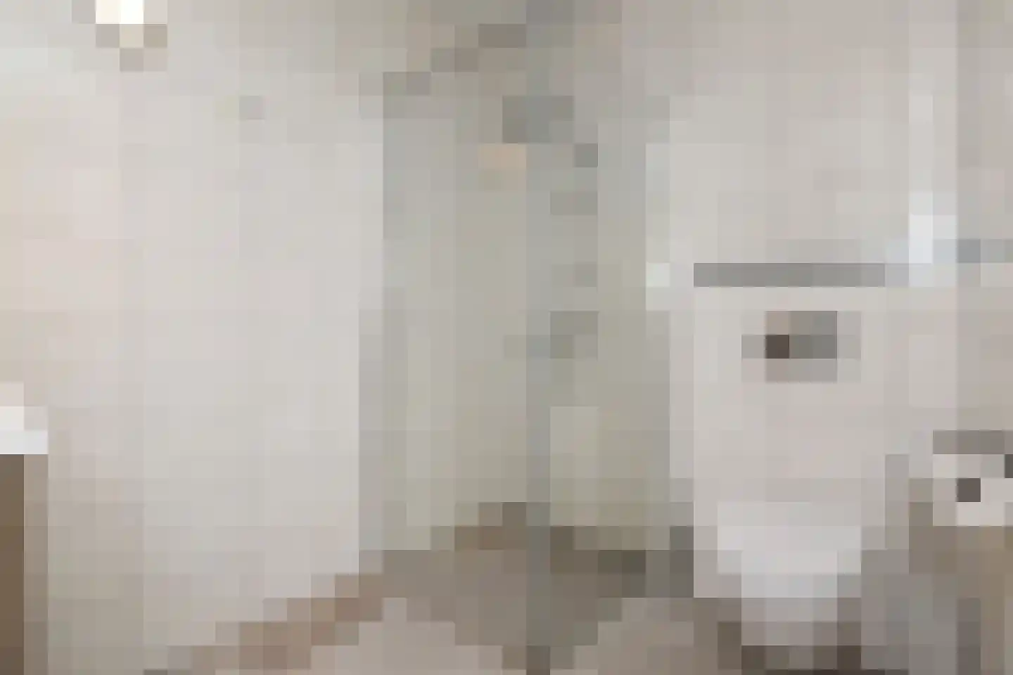 Groot Hertoginnelaan 8 R Den Haag thumbnail 27