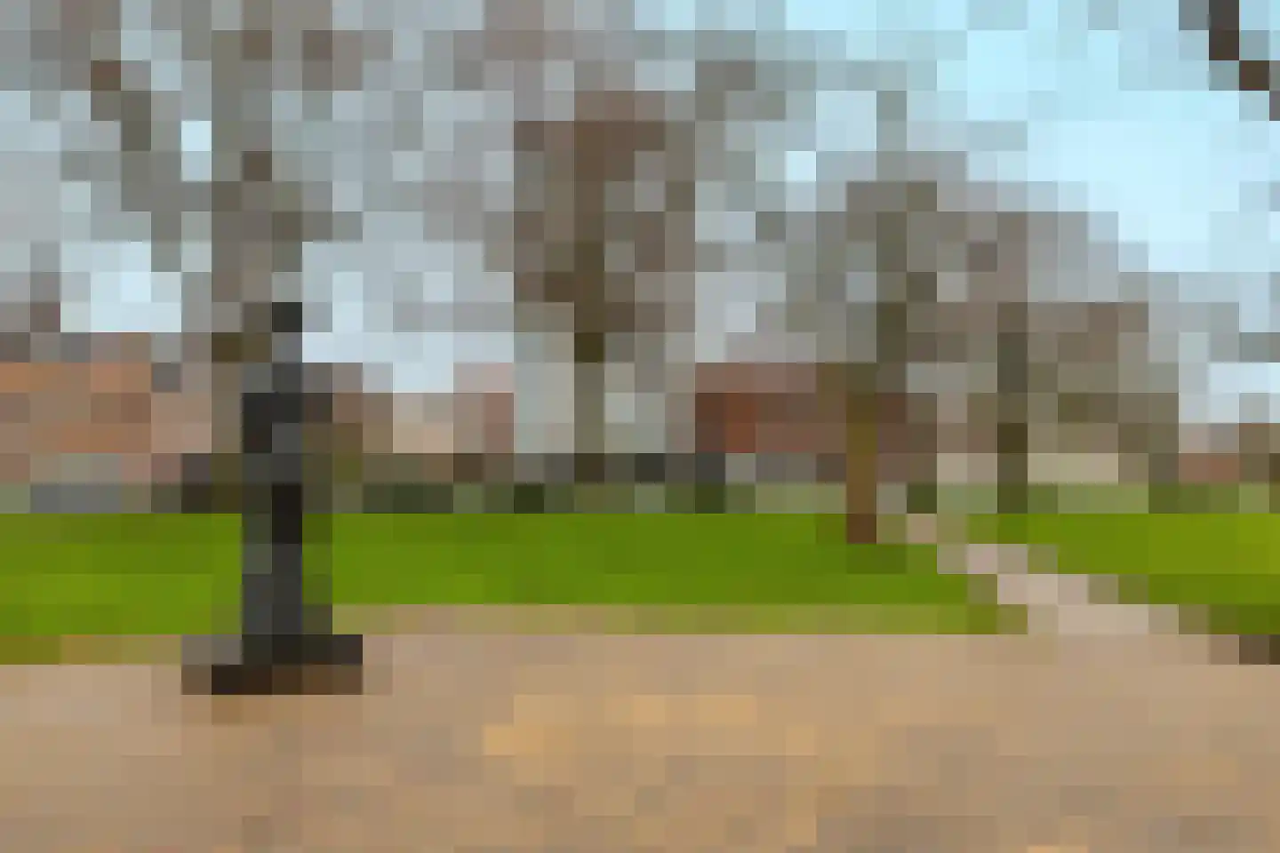Groot Hertoginnelaan 8 U Den Haag thumbnail 23