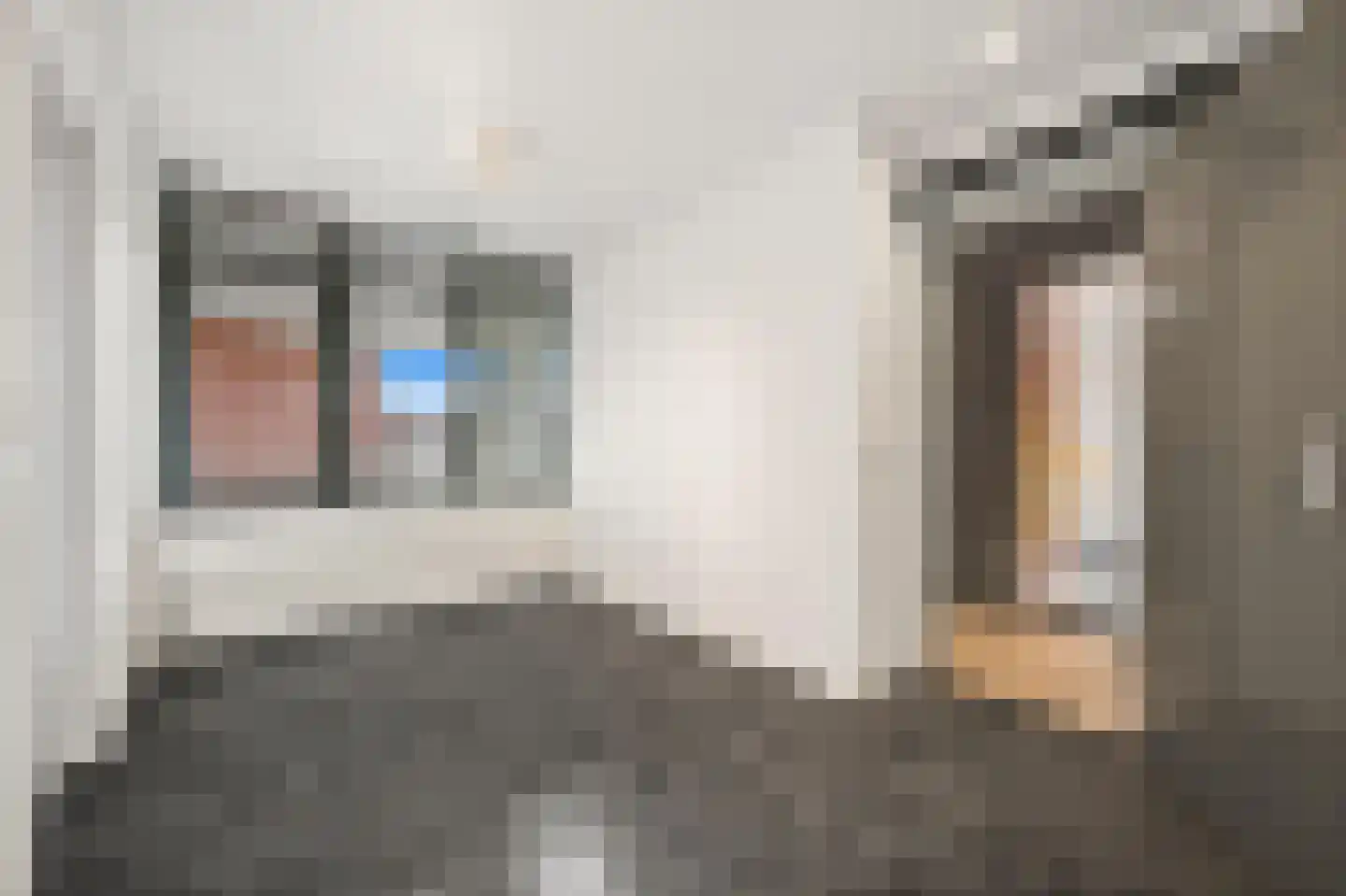 Groot Hertoginnelaan 8 V Den Haag thumbnail 37