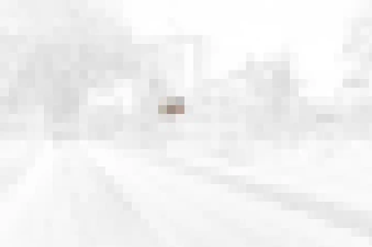 Groot Hertoginnelaan 8 V Den Haag thumbnail 7