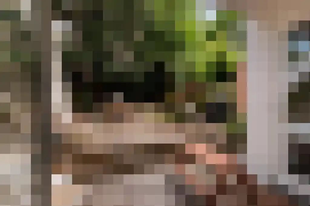 Groot Hertoginnelaan 86 Den Haag thumbnail 4