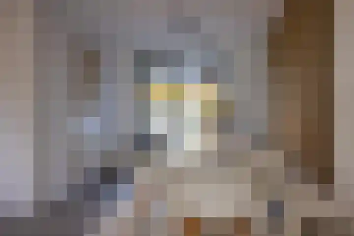 Groot Hoefblad 14 Grootegast thumbnail 16