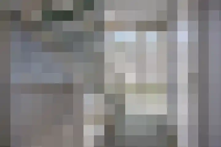 Groot Hoefblad 14 Grootegast thumbnail 20