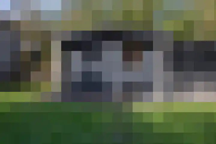 Groot Hoefblad 14 Grootegast thumbnail 42
