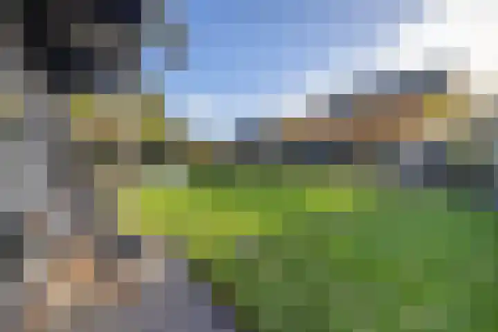 Groot Hoefblad 14 Grootegast thumbnail 43
