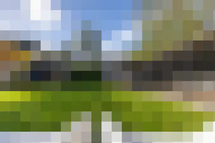 Groot Hoefblad 14 Grootegast thumbnail 44