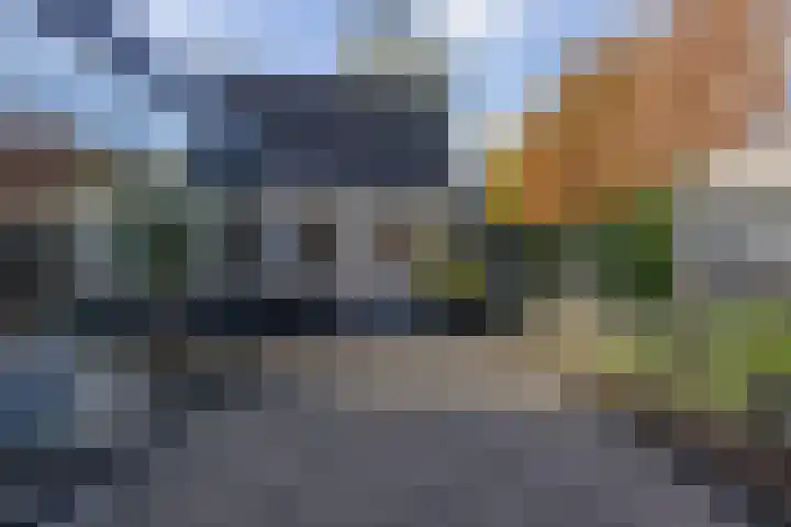 Groot Hoefblad 14 Grootegast thumbnail 45
