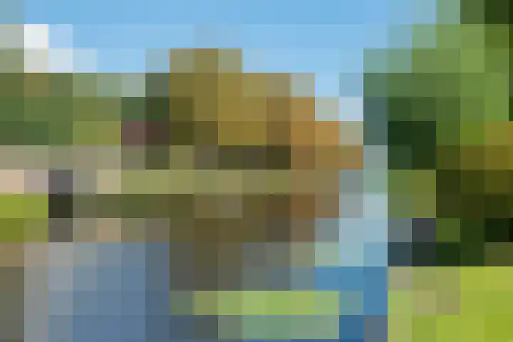 Groot hoefbladlaan 48 Bennebroek thumbnail 32
