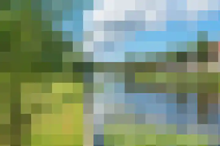 Groot hoefbladlaan 48 Bennebroek thumbnail 33