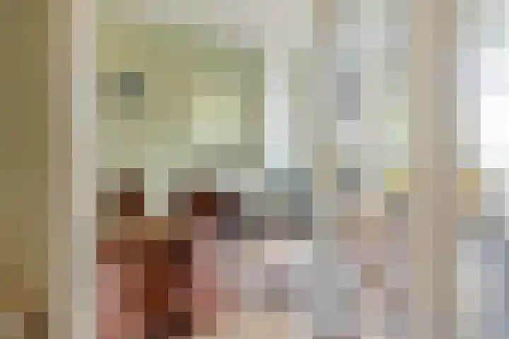 Groot hoefbladlaan 8 Bennebroek thumbnail 21