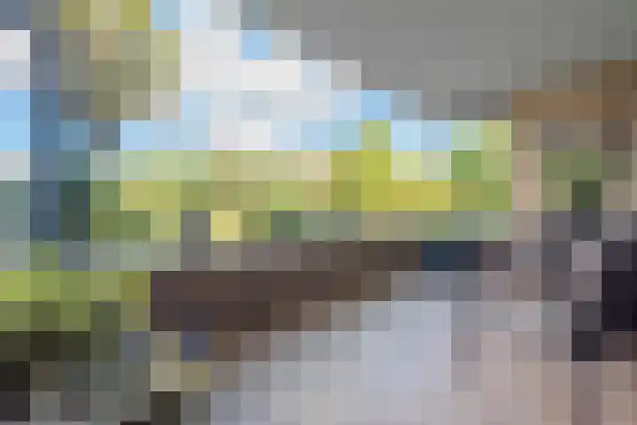 Groot hoefbladlaan 8 Bennebroek thumbnail 30