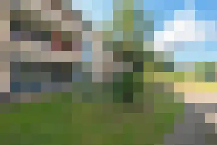 Groot hoefbladlaan 8 Bennebroek thumbnail 34