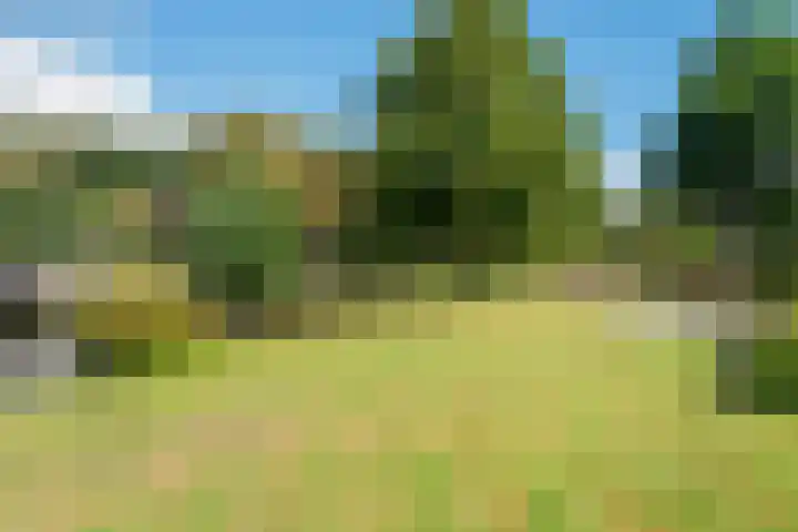 Groot hoefbladlaan 8 Bennebroek thumbnail 35