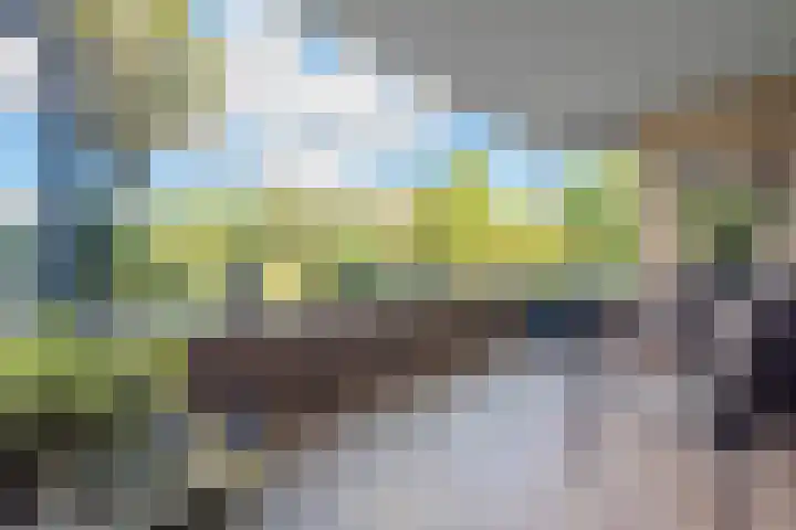 Groot hoefbladlaan 8 Bennebroek thumbnail 4