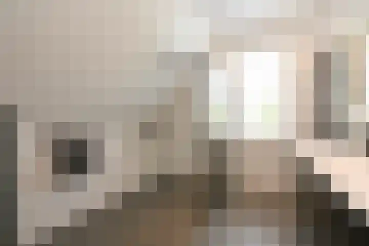 Groot Hoefijzerlaan 17 Wassenaar thumbnail 23