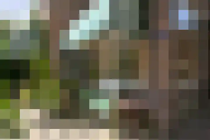 Groot Hoefijzerlaan 17 Wassenaar thumbnail 33