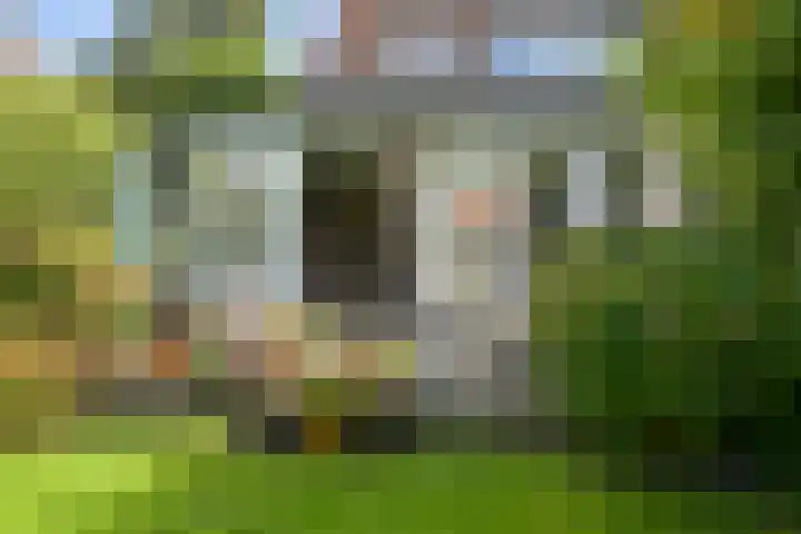 Groot Hoefijzerlaan 17 Wassenaar thumbnail 6