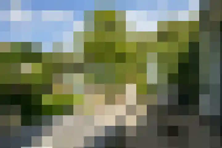 Groot Hoefijzerlaan 17 Wassenaar thumbnail 7