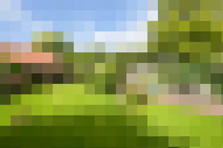 Groot Hoefijzerlaan 17 Wassenaar thumbnail 8