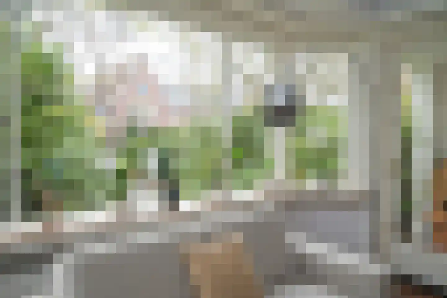 Groot Hoefijzerlaan 20 Wassenaar thumbnail 22