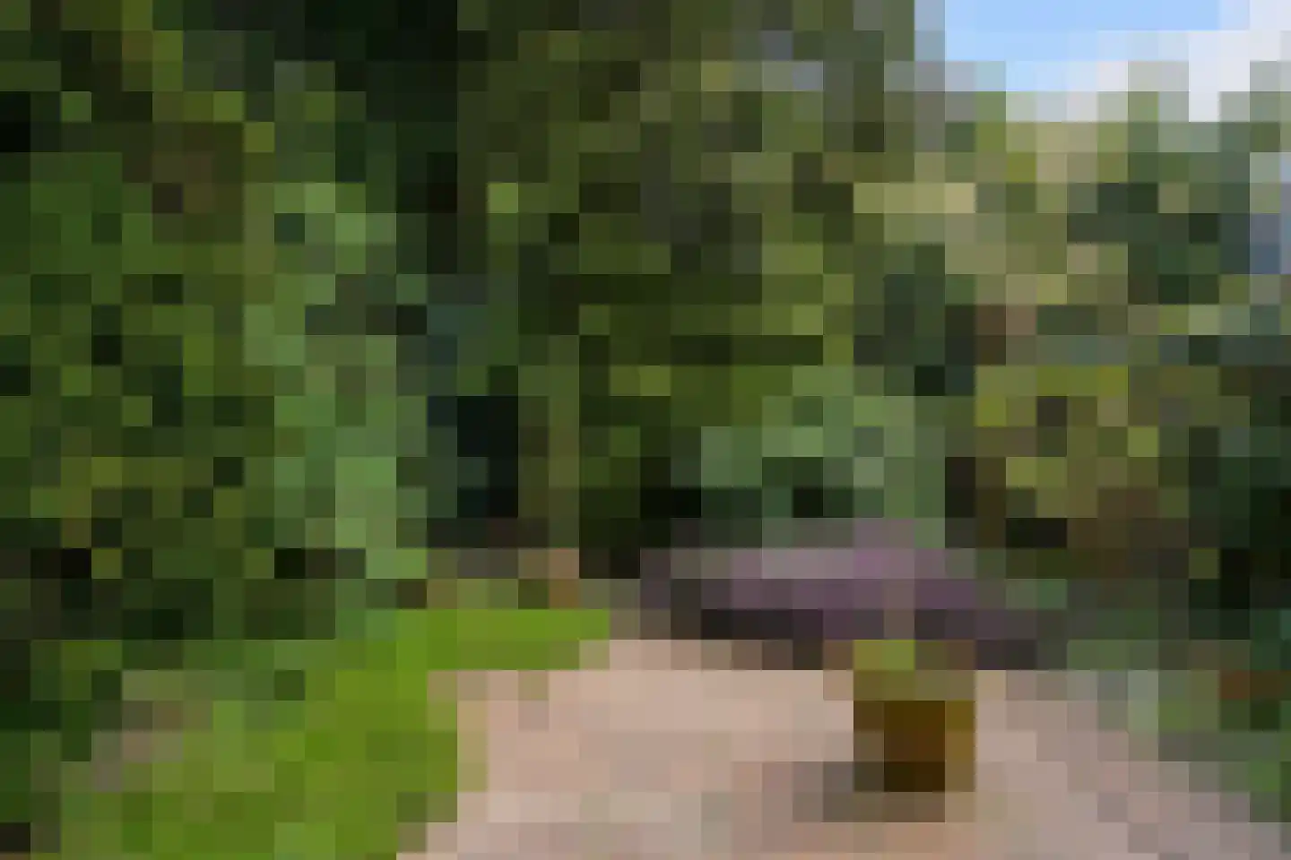 Groot Hoefijzerlaan 20 Wassenaar thumbnail 26