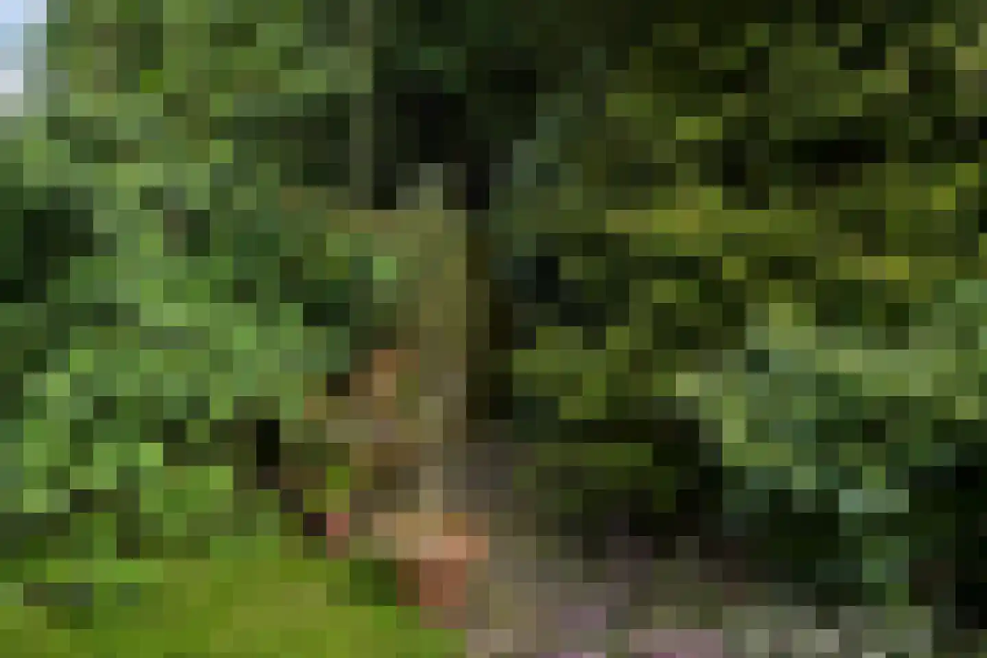 Groot Hoefijzerlaan 20 Wassenaar thumbnail 27
