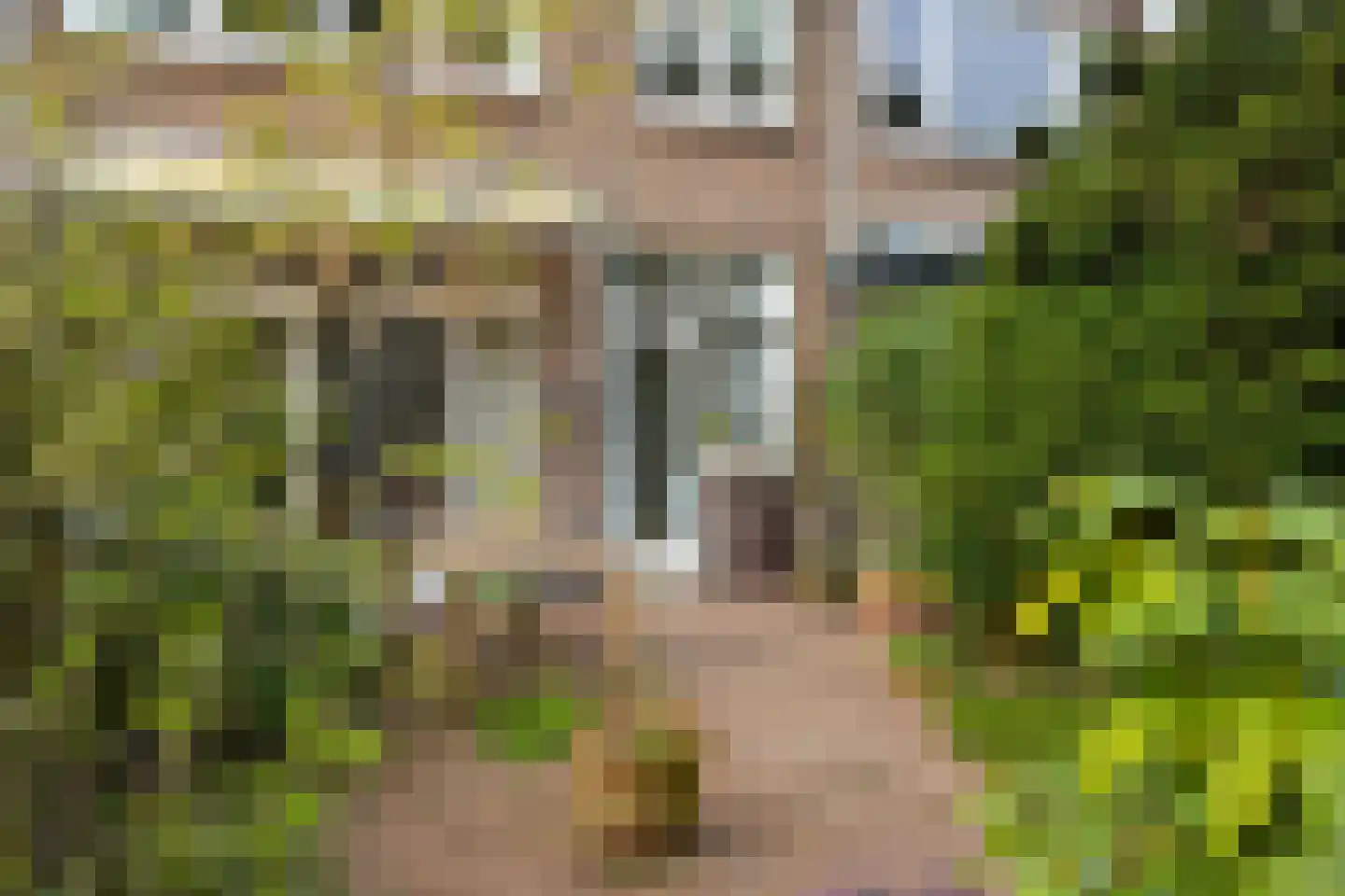 Groot Hoefijzerlaan 20 Wassenaar thumbnail 30