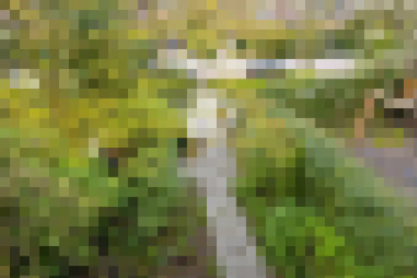 Groot Hoefijzerlaan 20 Wassenaar thumbnail 42