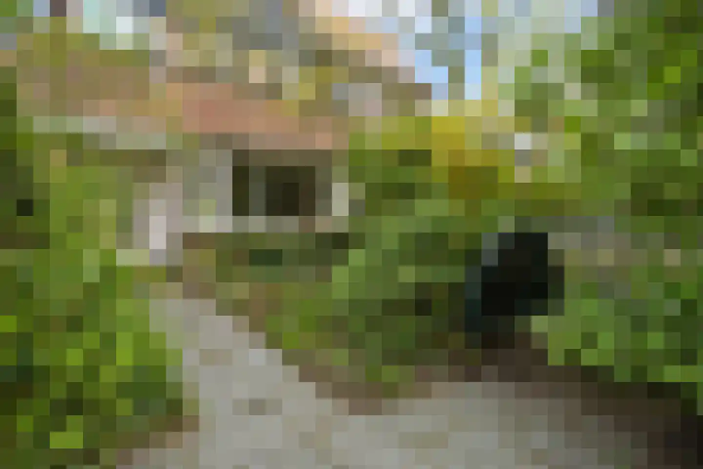 Groot Hoefijzerlaan 20 Wassenaar thumbnail 7