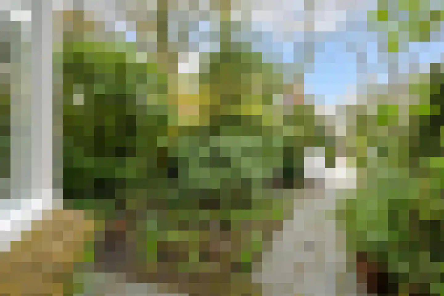 Groot Hoefijzerlaan 20 Wassenaar thumbnail 8