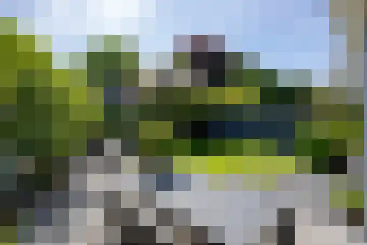 Groot Hoefijzerlaan 24 Wassenaar thumbnail 10