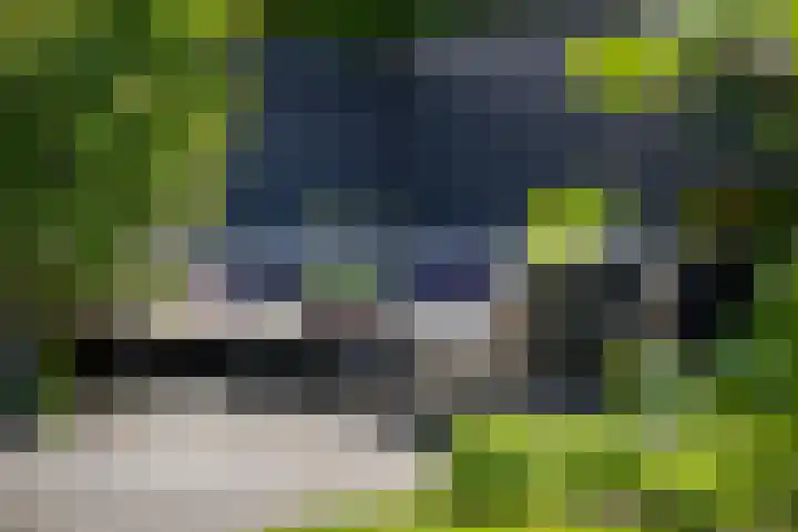 Groot Hoefijzerlaan 24 Wassenaar thumbnail 11