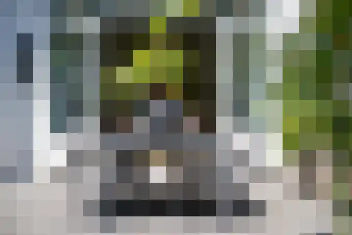 Groot Hoefijzerlaan 24 Wassenaar thumbnail 14