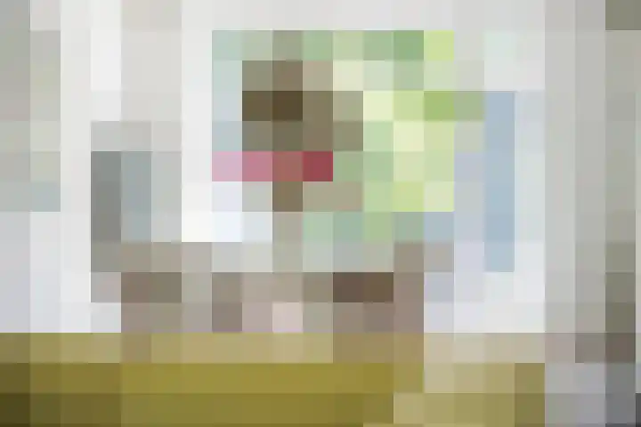 Groot Hoefijzerlaan 24 Wassenaar thumbnail 19
