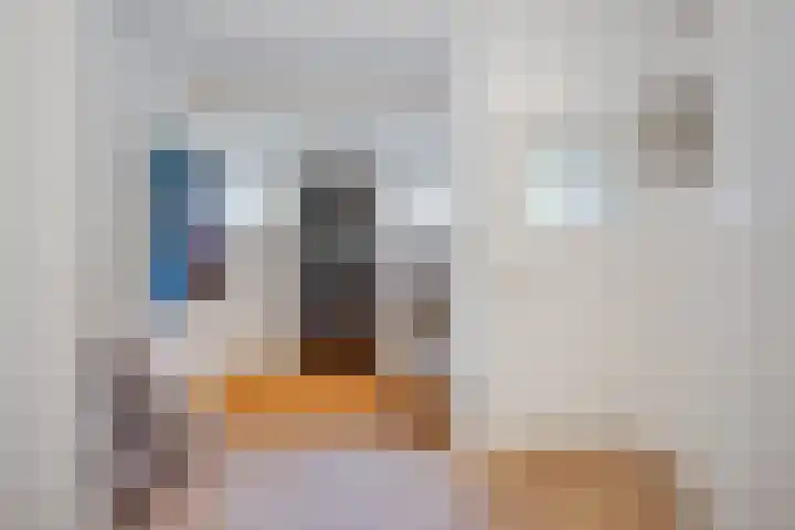 Groot Hoefijzerlaan 24 Wassenaar thumbnail 20