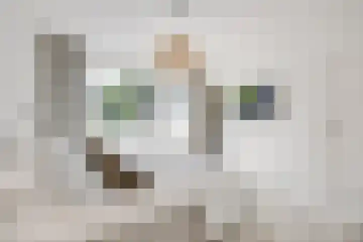 Groot Hoefijzerlaan 24 Wassenaar thumbnail 21