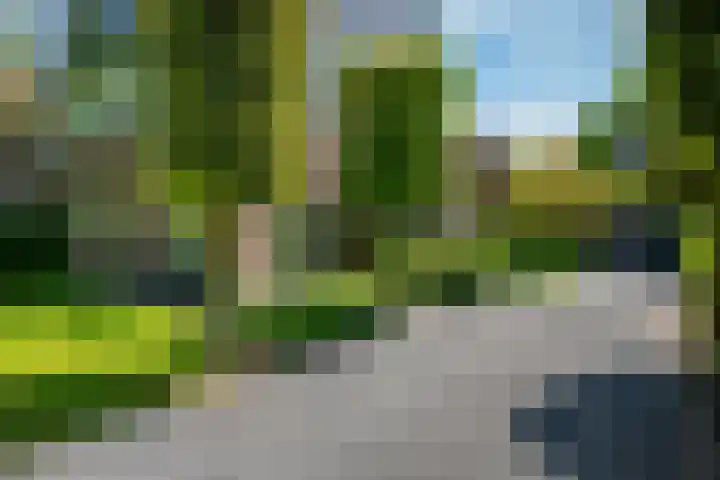 Groot Hoefijzerlaan 24 Wassenaar thumbnail 33