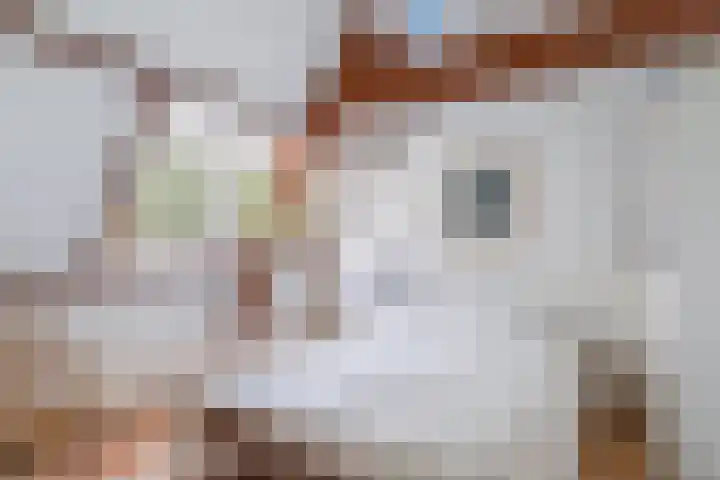 Groot Hoefijzerlaan 3 Wassenaar thumbnail 49