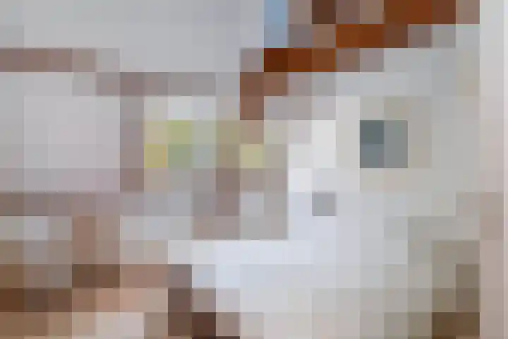 Groot Hoefijzerlaan 3 Wassenaar thumbnail 51
