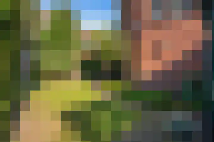 Groot Hoefijzerlaan 3 Wassenaar thumbnail 53