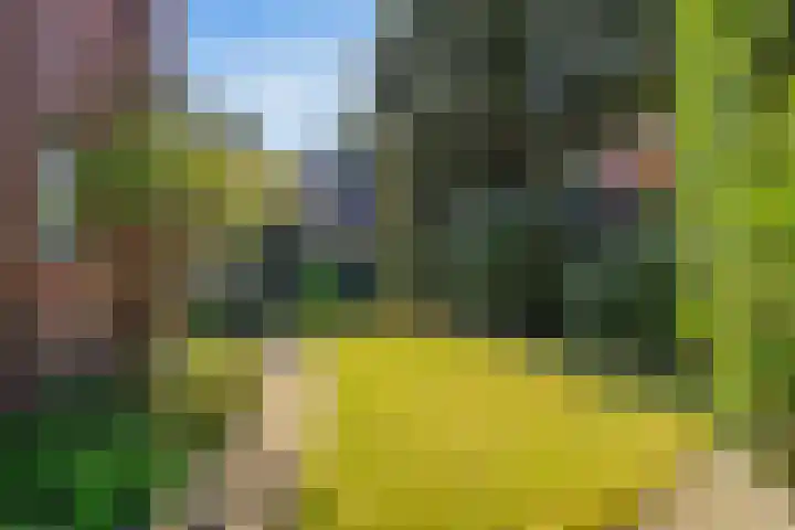Groot Hoefijzerlaan 3 Wassenaar thumbnail 57